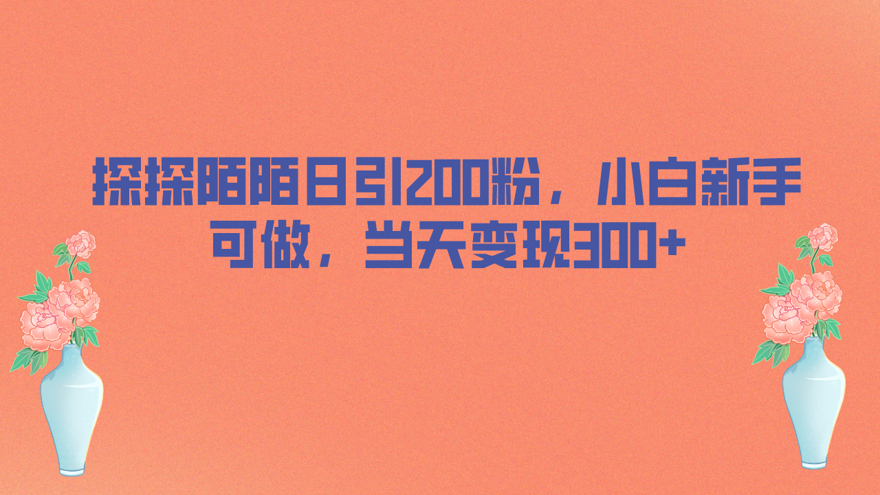 探探陌陌日引200粉，小白新手可做，当天就能变现300+-锦宝资源站