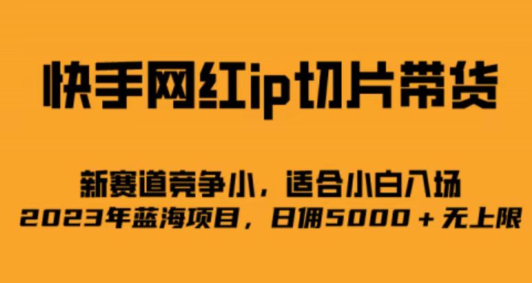 快手网红ip切片新赛道，竞争小事，适合小白 2023蓝海项目-锦宝资源站