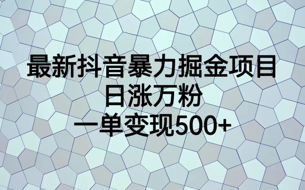 最新抖音暴力掘金项目，日涨万粉，一单变现500+-锦宝资源站