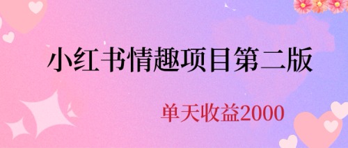 最近爆火小红书情趣项目第二版，每天2000+-锦宝资源站