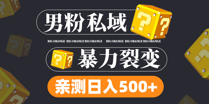 男粉项目，一个作品变现1000+，新渠道新玩法，一部手机实现月入过万-锦宝资源站