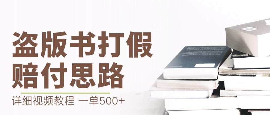 最新盗版书赔付打假项目，一单利润500+【详细玩法视频教程】-锦宝资源站