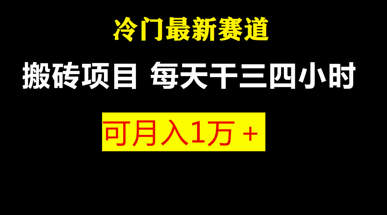 最新冷门游戏搬砖项目，小白零基础也可以月入过万（附教程+软件）-锦宝资源站