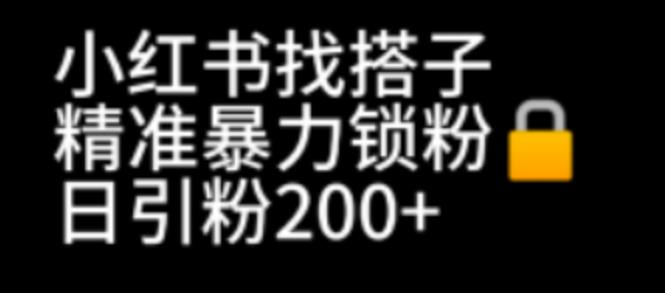 小红书找搭子暴力精准锁粉+引流日引200+精准粉-锦宝资源站