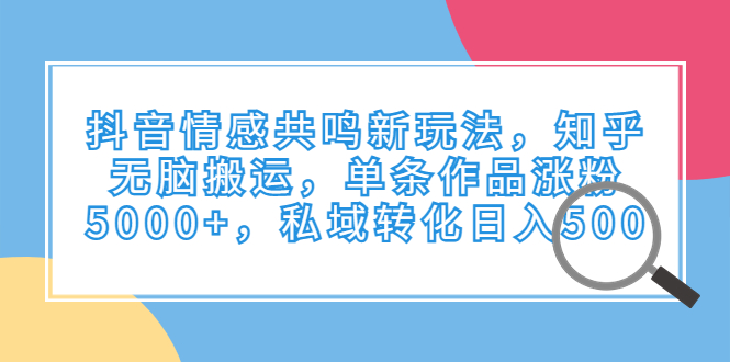 抖音情感共鸣新玩法，知乎无脑搬运，单条作品涨粉5000+，私域转化日入500-锦宝资源站