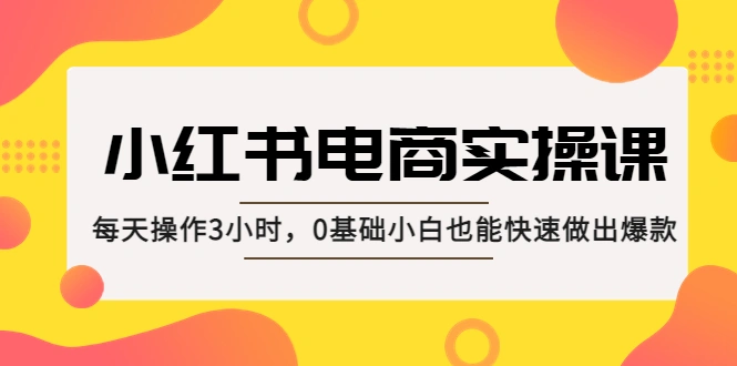 小红书·电商实操课：每天操作3小时，0基础小白也能快速做出爆款！-锦宝资源站