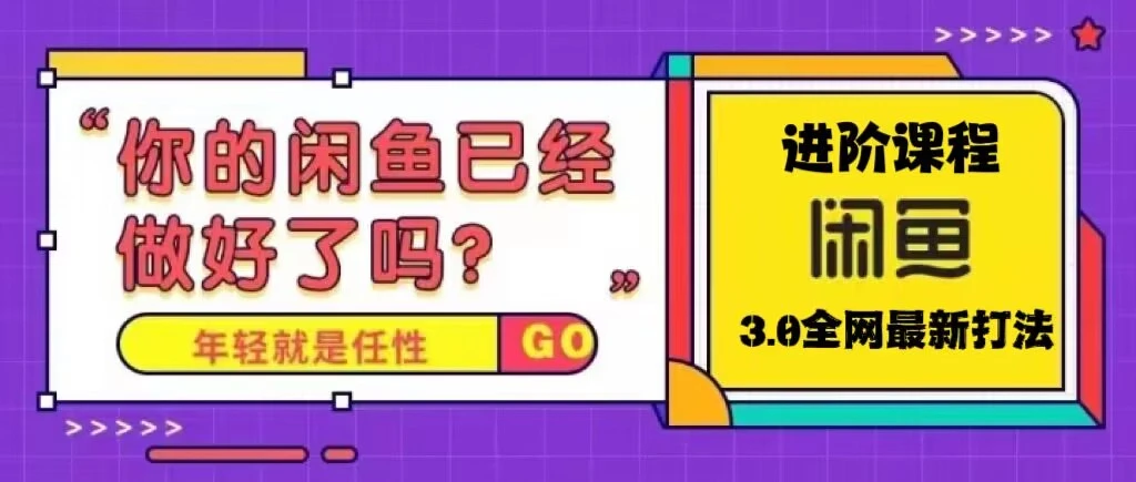 火爆全网的咸鱼玩法进阶课程，单号日入1K的咸鱼进阶课程-锦宝资源站