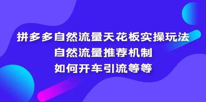拼多多自然流量天花板实操玩法：自然流量推荐机制，如何开车引流等等-锦宝资源站