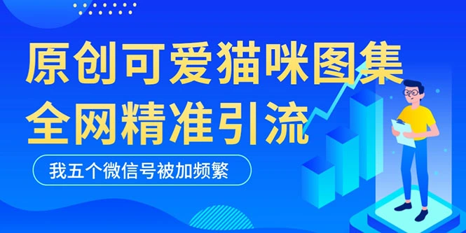 黑科技纯原创可爱猫咪图片，全网精准引流，实操5个VX号被加频繁-锦宝资源站