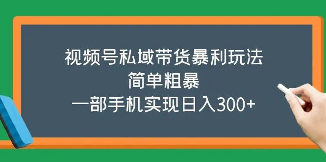视频号私域带货暴利玩法，简单粗暴，一部手机实现日入300+-锦宝资源站