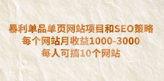暴利单品单页网站项目和SEO策略 每个网站月收益1000-3000 每人可搞10个-锦宝资源站