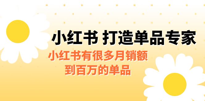 某公众号付费文章《小红书 打造单品专家》小红书有很多月销额到百万的单品-锦宝资源站