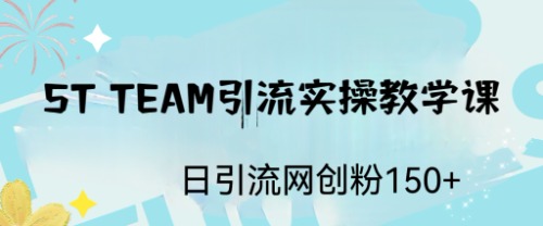 ST TEAM引流实操课，日引流网创粉100+-锦宝资源站