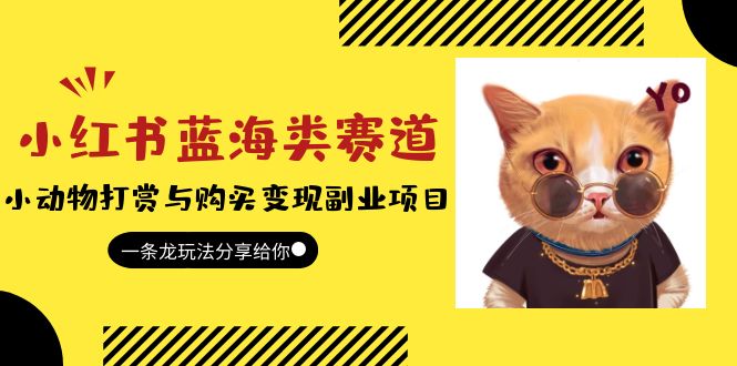 小红书蓝海类赛道：小动物打赏与购买变现副业项目，一条龙玩法分享给你！-锦宝资源站