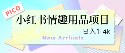 最新小红书情趣用品项目，日入1-4k-锦宝资源站