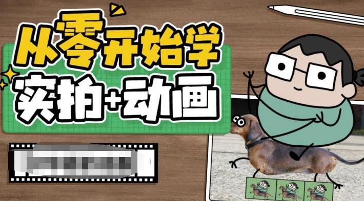 从零开始学实拍加动画，实拍加动画创意教程（49节视频课）-锦宝资源站