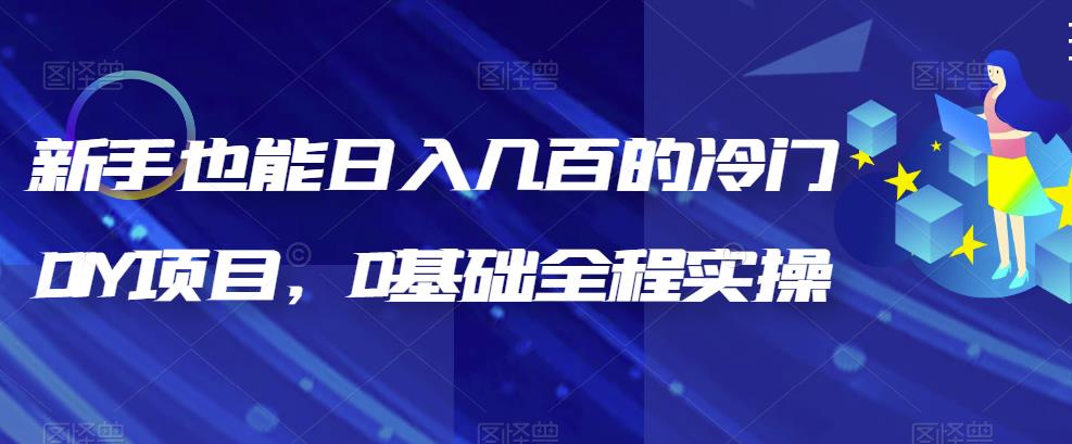 新手也能日入几百的冷门DIY项目，0基础全程实操【揭秘】-锦宝资源站