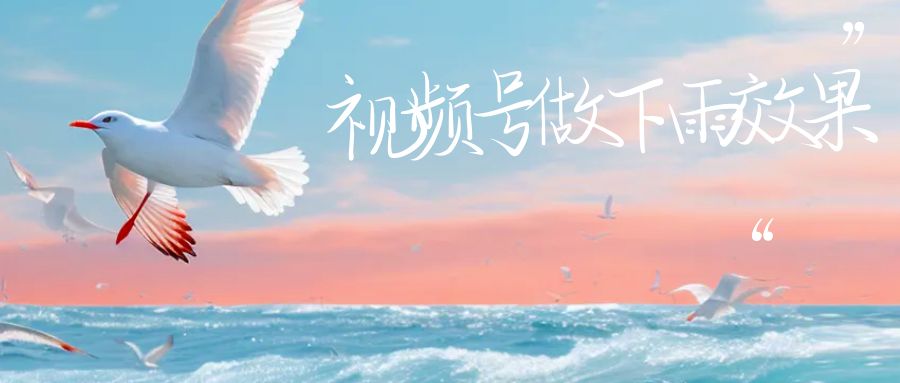 视频号做下雨视频，一个账号一周涨粉10W+，日入1000+，附保姆级教程-锦宝资源站