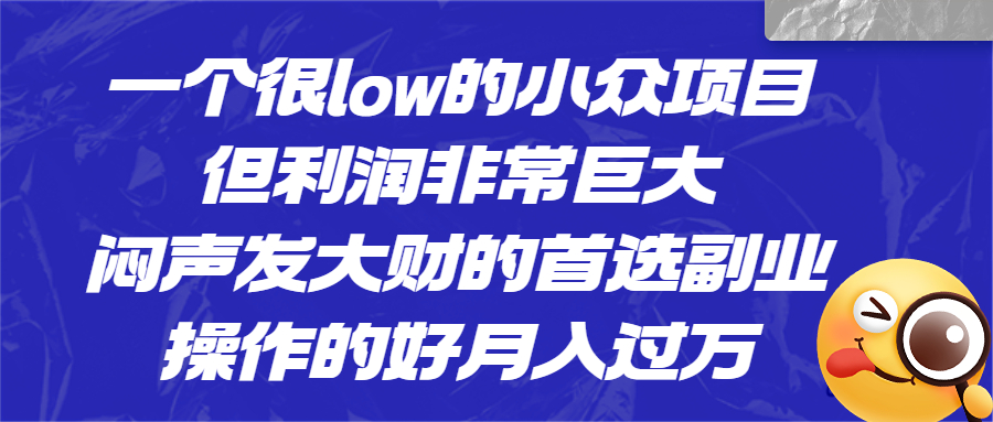 一个很low的小众项目，但利润非常巨大，闷声发大财的首选副业，月入过万-锦宝资源站