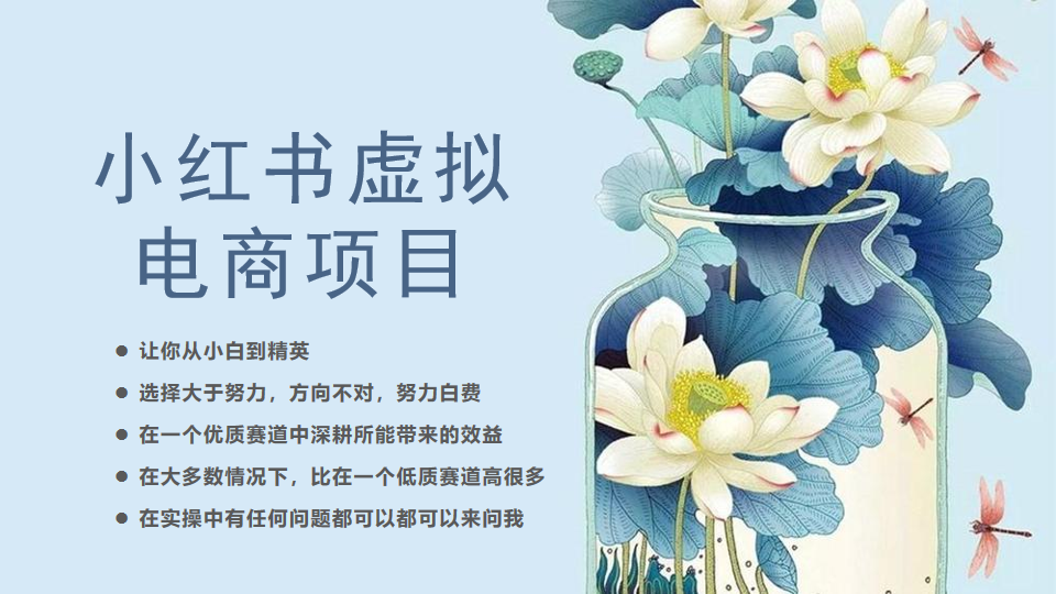 小红书虚拟电商从0到1，让你从小白到精英（20节实操课程）-锦宝资源站