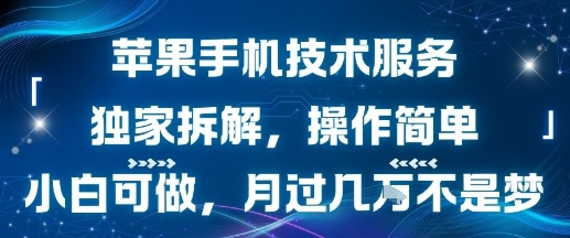 苹果手机技术服务，独家拆解，操作简单，小白可做，月过1W不是梦-锦宝资源站