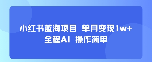 小红书蓝海项目 单月变现1w+ 全程AI 操作简单-锦宝资源站