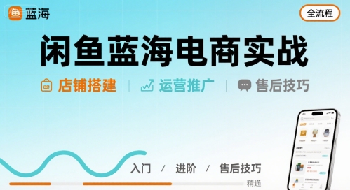 闲鱼蓝海电商实战，店铺搭建运营售后全流程-锦宝资源站
