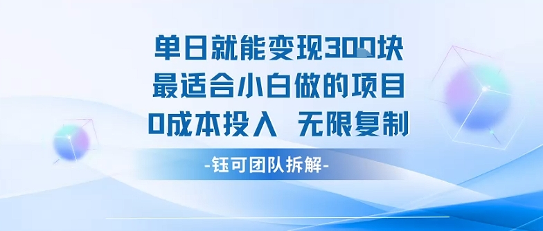 单日就能变现3张最适合小白做的项目0成本投入 无限复制-锦宝资源站