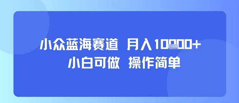 小众蓝海赛道，小白可做，操作简单，每天30分钟，月入1W+-锦宝资源站