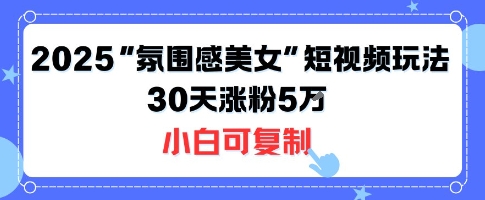 不露脸也能火！2025“氛围感美女”短视频玩法，30天涨粉5W小白可复制-锦宝资源站