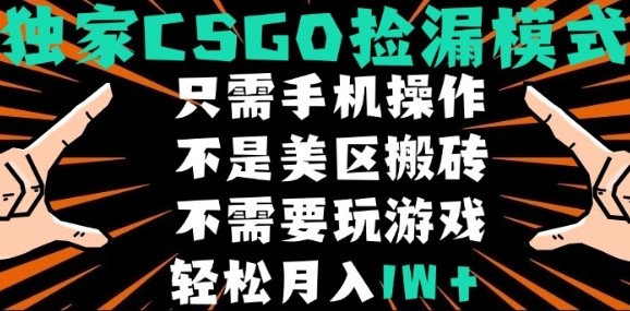 CSGO自动捡漏项目，最新独家玩法，不是美区搬砖，不需要了解和玩游戏，新手小白轻松月入1W+【揭秘】-锦宝资源站
