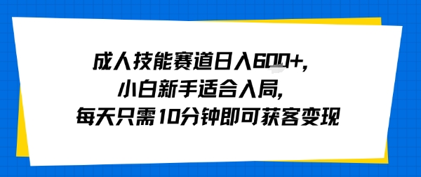 成人技能赛道日入多张，小白新手适合入局，每天只需10分钟即可获客变现-锦宝资源站