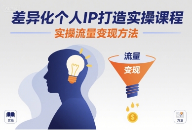 差异化个人IP打造实操课程，实操流量变现方法-锦宝资源站