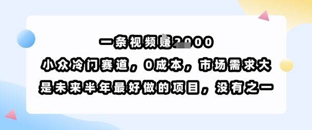一条视频挣1k，小众冷门赛道，0成本，市场需求大，是未来半年最好做的项目，没有之一-锦宝资源站