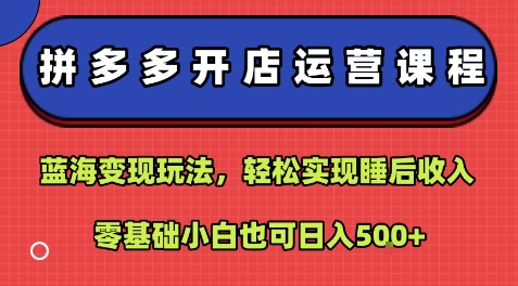 拼多多开店运营课程：蓝海变现玩法，轻松实现睡后收入，零基础小白也可日入5张-锦宝资源站