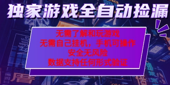 游戏全自动捡漏项目，最新独家玩法，每天操作几十分钟，无任何难度，当天见收益【揭秘】-锦宝资源站