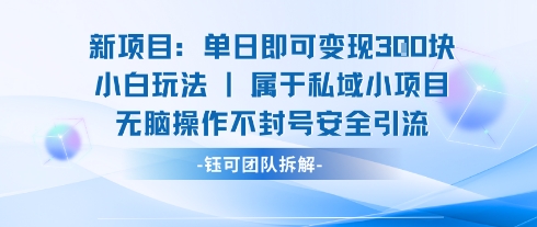新项目单日即可变现3张的小白玩法无脑操作不封号安全引流-锦宝资源站