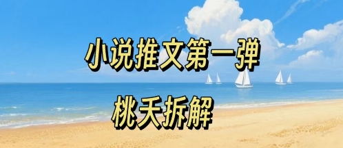 小说推文项目操作全流程第一弹，0粉就能做，门槛低非常适合新手-锦宝资源站