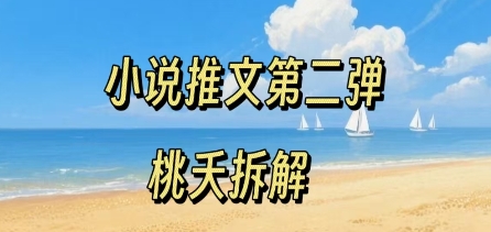 小说推文项目操作全流程第二弹，0粉就能做，门槛低非常适合新手-锦宝资源站