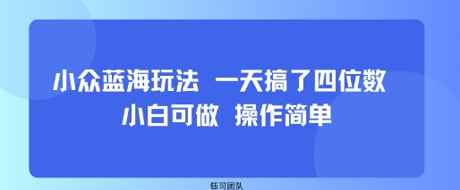 小众蓝海玩法 一天搞了四位数 小白可做 操作简单-锦宝资源站