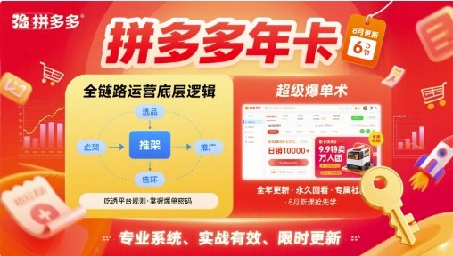 拼多多年卡【8月更新6节】拼多多全链路运营底层逻辑，超级爆单术-锦宝资源站