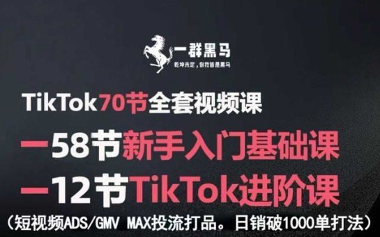 TikTok全套视频课，新手入门+进阶课，短视频ADS-GMV MAX投流打品，日销破1000单打法-锦宝资源站