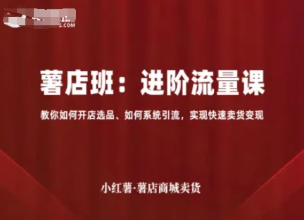 小红薯薯店商城卖货，进阶流量课，教你如何开店选品、如何系统引流，实现快速卖货变现-锦宝资源站