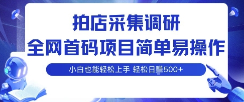 拍店采集调研，全网首码项目，简单易操作， 小白也能轻松上手，多账号操作，轻松日入5张【揭秘】-锦宝资源站