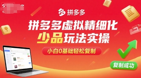拼多多虚拟精细化少品玩法实操，小白0基础轻松复制-锦宝资源站