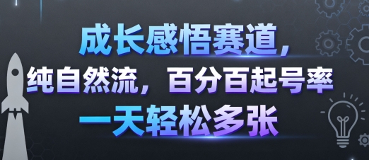成长感悟赛道，纯自然流，百分百起号率 一天轻松多张-锦宝资源站