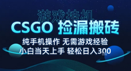 8月最新游戏搬砖，CSGO纯挂G，不需要玩游戏，实现真挂G，月入1W+【揭秘】-锦宝资源站