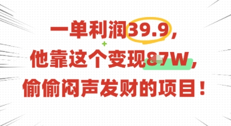 一单利润39.9，有人靠这个变现几十个，偷偷闷声发财的项目-锦宝资源站