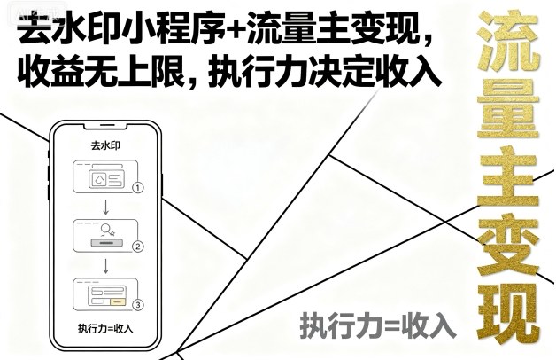 去水印小程序+流量主变现，收益无上限，执行力决定收入-锦宝资源站
