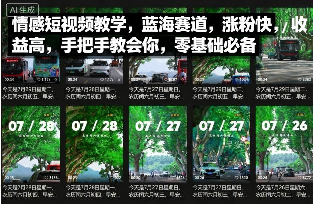 情感短视频教学，蓝海赛道，涨粉快，收益高，手把手教会你，零基础必备-锦宝资源站